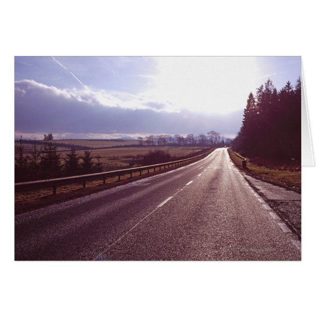 Main road with low winter sun. (Front Horizontal)