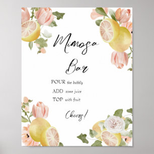 Main Squeeze   Citrus   Pink Floral Mimosa Bar Poster