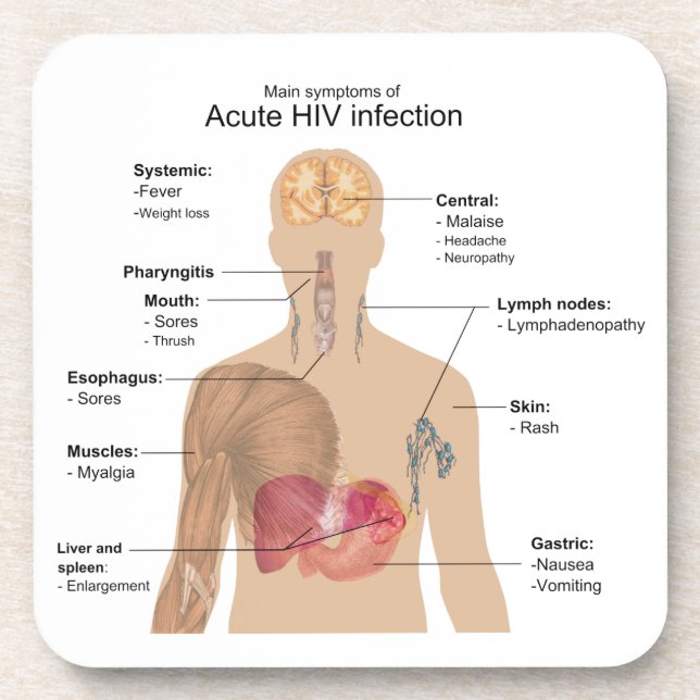 Main Symptoms of Acute HIV Infection Coaster (Front)