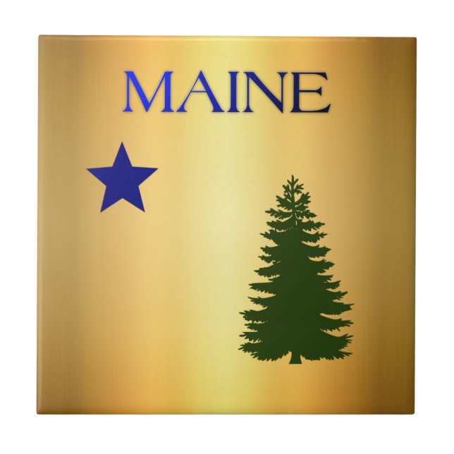 Maine (1901) flag tile (Front)