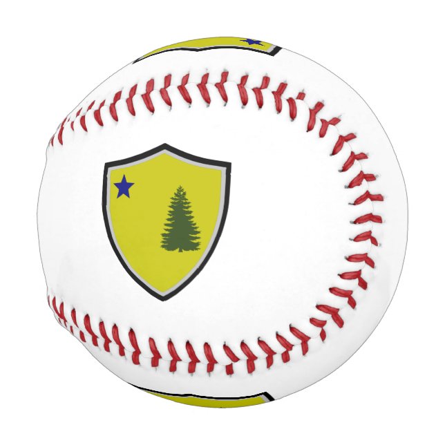 Maine (1901) shield flag baseball (Front Right)