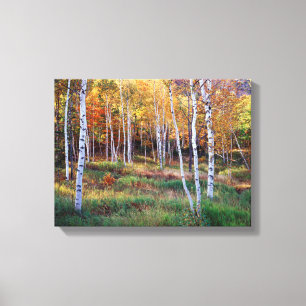 Maine, Acadia National Park, Autumn Canvas Print