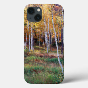 Maine, Acadia National Park, Autumn iPhone 13 Case