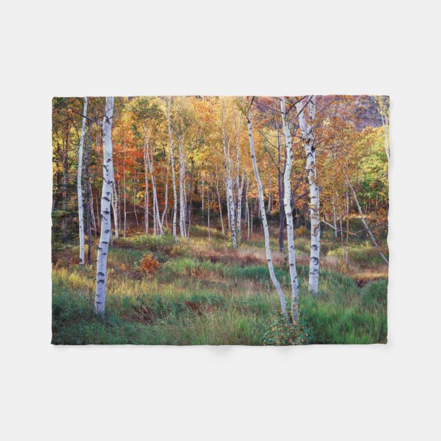 Maine, Acadia National Park, Autumn Fleece Blanket (Front (Horizontal))