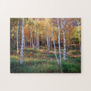 Maine, Acadia National Park, Autumn Jigsaw Puzzle