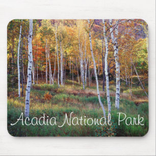 Maine, Acadia National Park, Autumn Mouse Mat