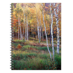 Maine, Acadia National Park, Autumn Notebook