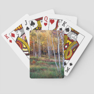 Maine, Acadia National Park, Autumn Playing Cards