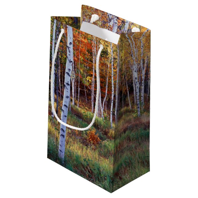 Maine, Acadia National Park, Autumn Small Gift Bag (Back Angled)