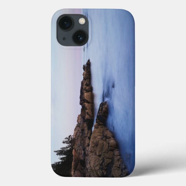 Maine, Acadia National Park, Moonset Case-Mate iPhone Case (Back)