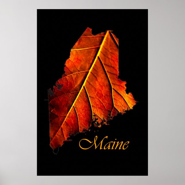Maine Autumn Orange Leaf | Maine Fall Foliage Poster (Front)