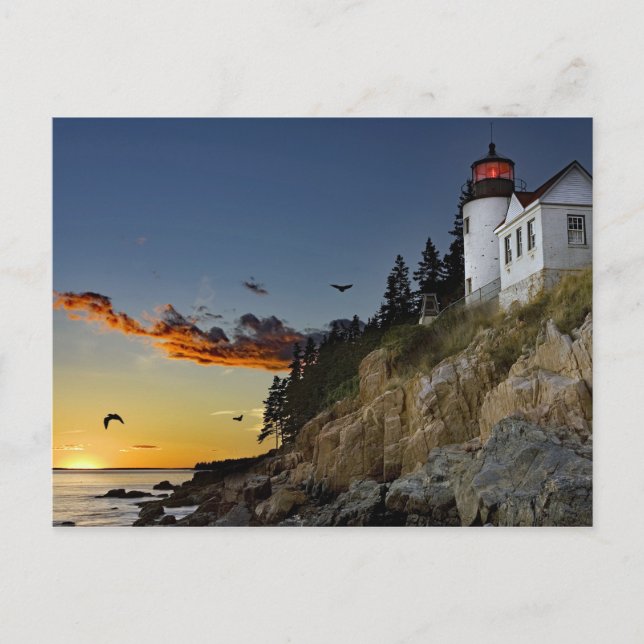 Maine Bass Harbor Lighthouse Photo Postcard (Front)