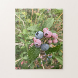 Maine Blueberries Jigsaw Puzzle