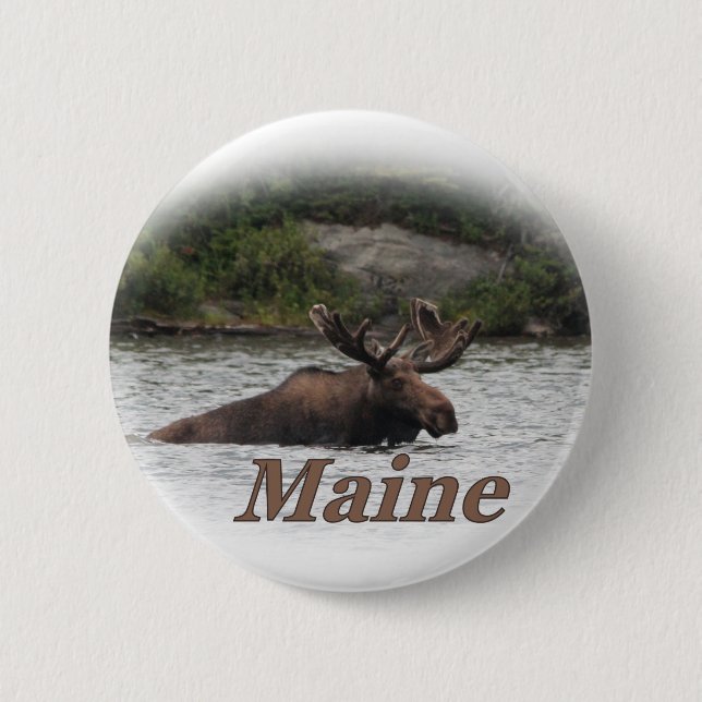 Maine Bull Moose 6 Cm Round Badge (Front)
