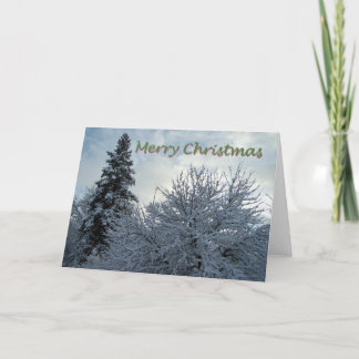 Maine Christmas Holiday Card