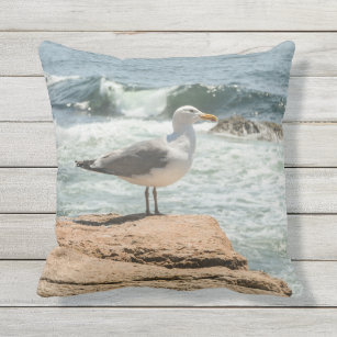 Maine Coast Acadia Ocean Seagull Cushion