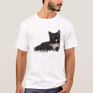 Maine Coon (15 months old) T-Shirt