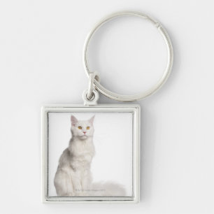 Maine Coon (8 months old) sitting Key Ring