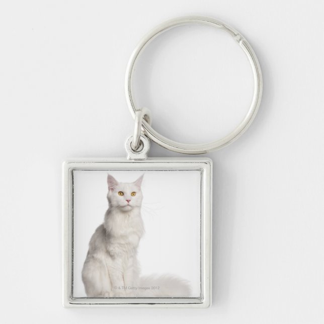 Maine Coon (8 months old) sitting Key Ring (Front)