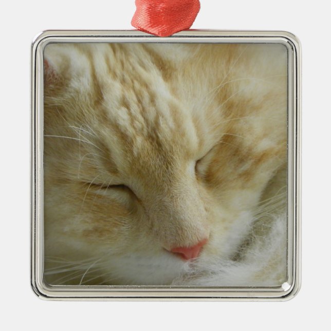Maine Coon Bentley sleeping Metal Tree Decoration (Front)