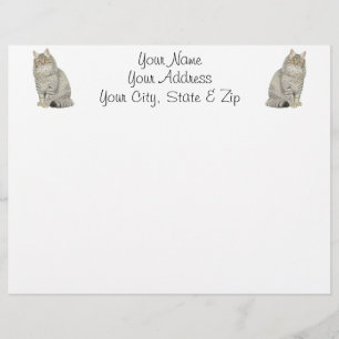 Maine Coon Cat