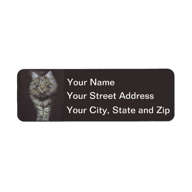 Maine Coon Cat (Front)