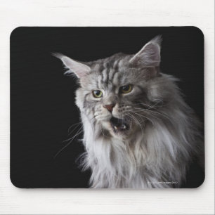 Maine Coon cat 2 Mouse Mat