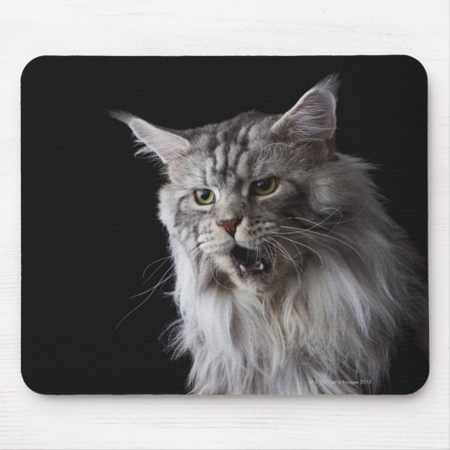 Maine Coon cat 2 Mouse Mat (Front)