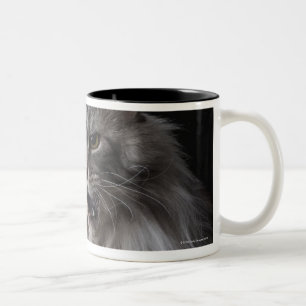 Maine Coon cat 2 Two-Tone Coffee Mug