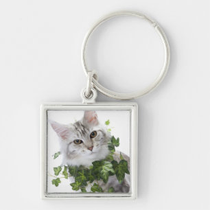 Maine Coon cat and ornament of ivy Key Ring