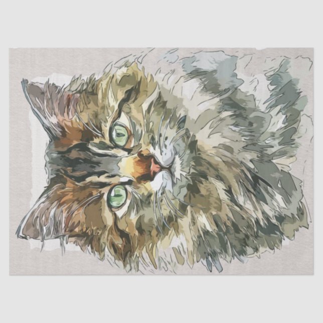 Maine Coon Cat Breed Watercolor Sketch Tissue Paper (Front)