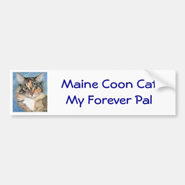 Maine Coon Cat Bumper Sticker (Front)