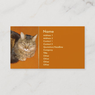 Maine Coon Cat Business Card