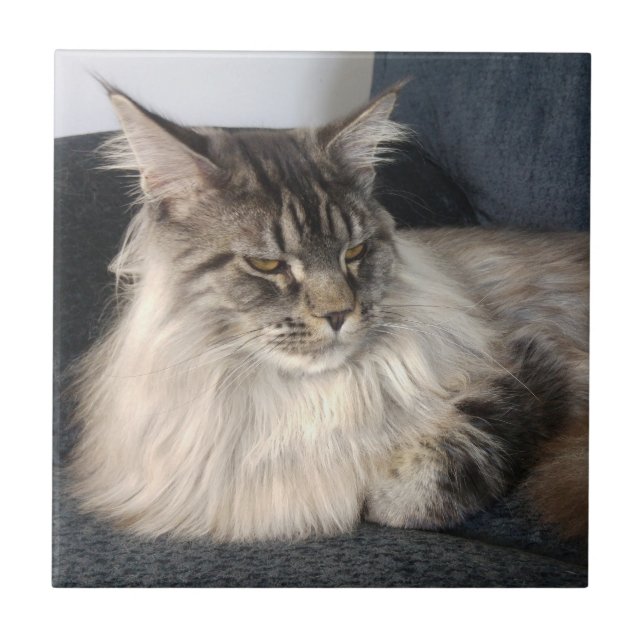 Maine Coon Cat Ceramic Tile (Front)