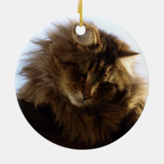 Maine Coon Cat Ceramic Tree Decoration