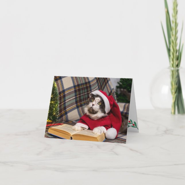 Maine Coon Cat Christmas Portrait Holiday Card (Front)