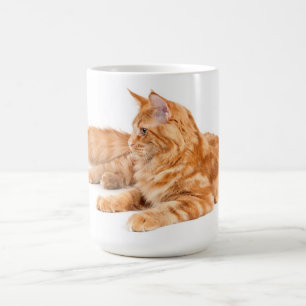 Maine Coon cat Coffee Mug