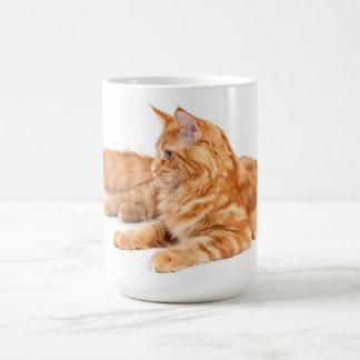 Maine Coon cat Coffee Mug