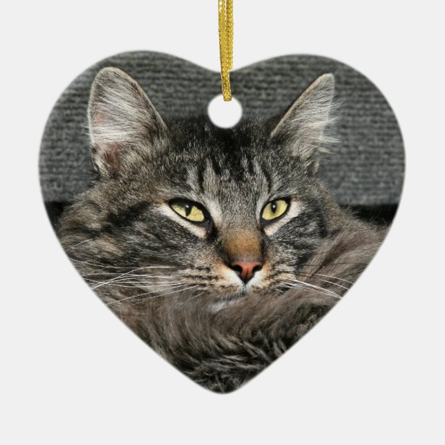 Maine Coon cat face Ceramic Tree Decoration (Front)
