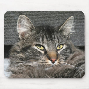 Maine Coon cat face Mouse Mat