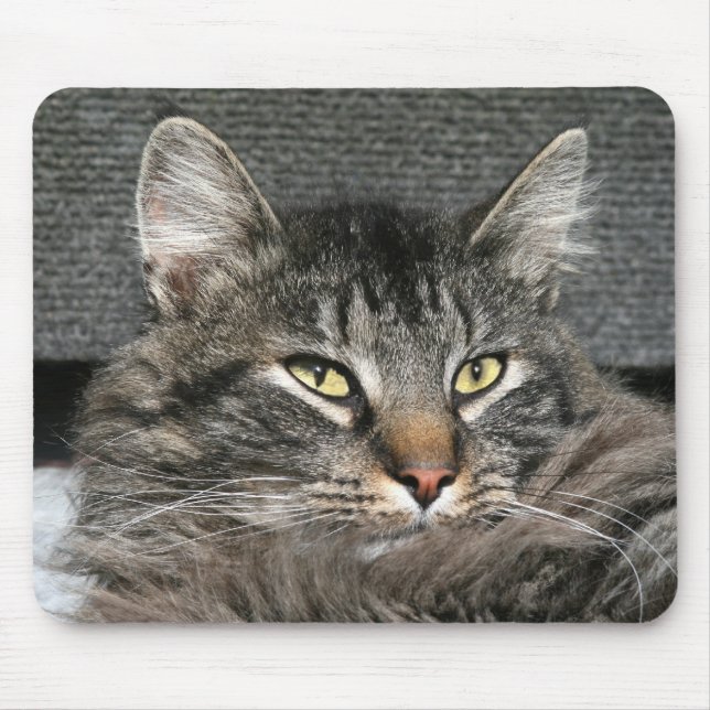Maine Coon cat face Mouse Mat (Front)