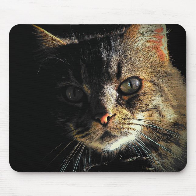 Maine Coon Cat Face Mouse Mat (Front)