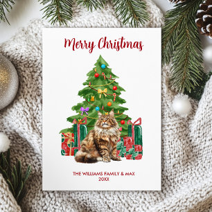 Maine Coon Cat Family Christmas Holiday Card
