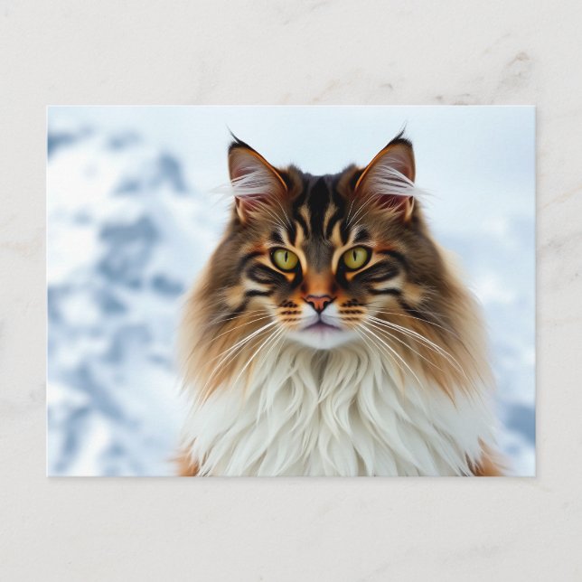 Maine Coon Cat in a Snowy Wilderness Portrait Postcard (Front)