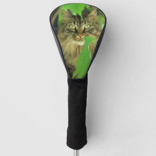 Maine Coon Cat in Tree Golf Head Cover