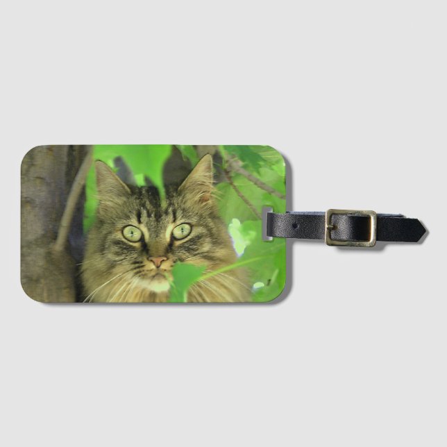 Maine Coon Cat in Tree Luggage Tag (Front Horizontal)