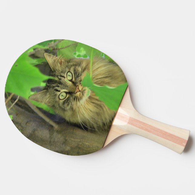 Maine Coon Cat in Tree Ping Pong Paddle (Side)