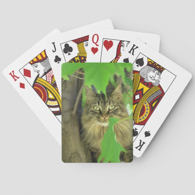 Maine Coon Cat in Tree Playing Cards (Back)