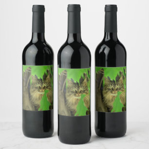 Maine Coon Cat in Tree Wine Label