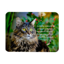 Maine Coon Cat Inspirational Magnet